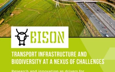 International seminar: Transport infrastructure and Biodiversity at a nexus of challenges